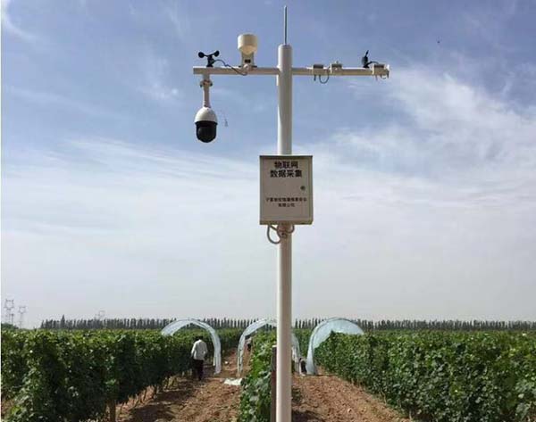 农场视频监控系统安装